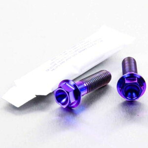 PRO BOLT �v���{���g �t�����g�u���[�L�L�����p�[�}�E���e�B���O�{���g�L�b�g CRF150R FC 250 450 FE 350 125 SX SX-F 500 EXC-F Bobber Bonneville Street Twin WR125R YBR250 YZF-R125 HONDA �z���_ HUSQVARNA �n�X�N�o�[�i KTM TR