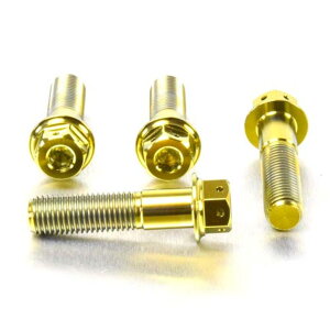 PRO BOLT v{g tgu[LLp[}EeBO{gLbg Pegaso 650 Factory ER6-N Z750 ZRX1100 ZX-6R F1-F2-F3 Ninja G1-G2 ZX-7R P1-P7 ZX-9R B1-B4 C1-C2 APRILIA AvA KAWASAKI JTL L