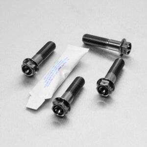 PRO BOLT �v���{���g �t�����g�u���[�L�L�����p�[�}�E���e�B���O�{���g�L�b�g Pegaso 650 Factory ER6-N Z750 ZRX1100 ZX-6R F1-F2-F3 Ninja G1-G2 ZX-7R P1-P7 ZX-9R B1-B4 C1-C2 APRILIA �A�v�����A KAWASAKI �J���T�L �L����