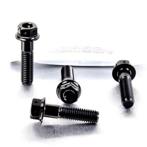 PRO BOLT �v���{���g �t�����g�u���[�L�L�����p�[�}�E���e�B���O�{���g�L�b�g R1200GS CB1000R CB1300 CB600 Hornet FY-F6 SFW-SFX CBF1000 CBF600S CBR400RR CBR600F1-F5 CBR650F DN01 VFR750FL-FP XL1000V V4-V9 Varadero XL700 VA Transalp