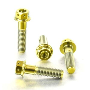 PRO BOLT v{g tgu[LLp[}EeBO{gLbg R1200GS CB1000R CB1300 CB600 Hornet FY-F6 SFW-SFX CBF1000 CBF600S CBR400RR CBR600F1-F5 CBR650F DN01 VFR750FL-FP XL1000V V4-V9 Varadero XL700 VA Transalp