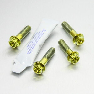 PRO BOLT �v���{���g �t�����g�u���[�L�L�����p�[�}�E���e�B���O�{���g�L�b�g R1200GS CB1000R CB1300 CB600 Hornet FY-F6 SFW-SFX CBF1000 CBF600S CBR400RR CBR600F1-F5 CBR650F DN01 VFR750FL-FP XL1000V V4-V9 Varadero XL700 VA Transalp