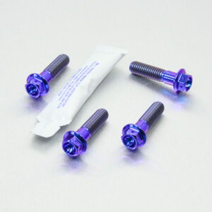 PRO BOLT v{g tgu[LLp[}EeBO{gLbg R1200GS CB1000R CB1300 CB600 Hornet FY-F6 SFW-SFX CBF1000 CBF600S CBR400RR CBR600F1-F5 CBR650F DN01 VFR750FL-FP XL1000V V4-V9 Varadero XL700 VA Transalp