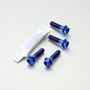 PRO BOLT v{g tgu[LLp[}EeBO{gLbg K1300R R1200GS GSF1200 Bandit GSR600 GSX-R750 Y-K3 GSX1250FA GSX650F SV1000S SV1000 BMW SUZUKI XYL Lp[{gE}Eg{