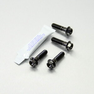 PRO BOLT v{g tgu[LLp[}EeBO{gLbg K1300R R1200GS GSF1200 Bandit GSR600 GSX-R750 Y-K3 GSX1250FA GSX650F SV1000S SV1000 BMW SUZUKI XYL Lp[{gE}Eg{