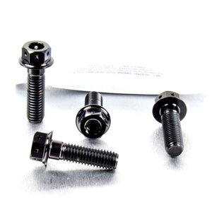 PRO BOLT v{g tgu[LLp[}EeBO{gLbg K1300R R1200GS GSF1200 Bandit GSR600 GSX-R750 Y-K3 GSX1250FA GSX650F SV1000S SV1000 BMW SUZUKI XYL Lp[{gE}Eg{