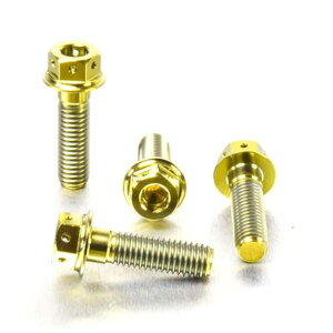 PRO BOLT v{g tgu[LLp[}EeBO{gLbg K1300R R1200GS GSF1200 Bandit GSR600 GSX-R750 Y-K3 GSX1250FA GSX650F SV1000S SV1000 BMW SUZUKI XYL Lp[{gE}Eg{