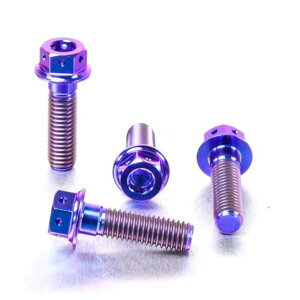 PRO BOLT v{g tgu[LLp[}EeBO{gLbg K1300R R1200GS GSF1200 Bandit GSR600 GSX-R750 Y-K3 GSX1250FA GSX650F SV1000S SV1000 BMW SUZUKI XYL Lp[{gE}Eg{