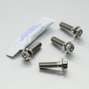 PRO BOLT v{g tgu[LLp[}EeBO{gLbg K1300R R1200GS GSF1200 Bandit GSR600 GSX-R750 Y-K3 GSX1250FA GSX650F SV1000S SV1000 BMW SUZUKI XYL Lp[{gE}Eg{