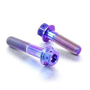 PRO BOLT v{g tgu[LLp[}EeBO{gLbg XR400R HONDA z_ Lp[{gE}Eg{g u[L
