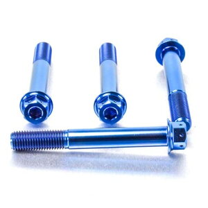 PRO BOLT v{g tgu[LLp[}EeBO{gLbg Z1000 Z900RS ZX-10R Ninja YZF-R1 KAWASAKI JTL YAMAHA }n Lp[{gE}Eg{g u[L