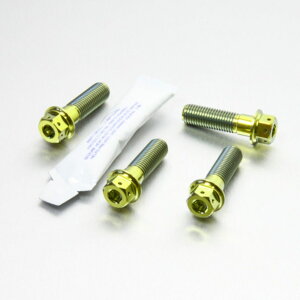 PRO BOLT v{g tgu[LLp[}EeBO{gLbg RS250 SL1000 Falco F800S Versys 650 ZX-12R A1-A2 Ninja B1-B6F ZX-9R E1-E2 Griso 1100 Daytona 955i Rocket 3 2300cc Sprint Tiger Explorer Lp[