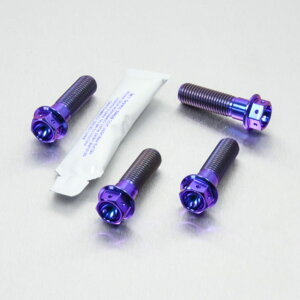 PRO BOLT v{g tgu[LLp[}EeBO{gLbg RS250 SL1000 Falco F800S Versys 650 ZX-12R A1-A2 Ninja B1-B6F ZX-9R E1-E2 Griso 1100 Daytona 955i Rocket 3 2300cc Sprint Tiger Explorer Lp[