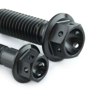 PRO BOLT プロボルト フロントブレーキキャリパーマウンティングボルトキット Street Scrambler TRIUMPH トライアンフ キャリパーボルト・マウントボルト ブレーキ