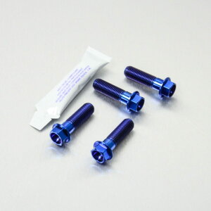 PRO BOLT v{g tgu[LLp[}EeBO{gLbg RS250 SL1000 Falco F800S Versys 650 ZX-12R A1-A2 Ninja B1-B6F ZX-9R E1-E2 Griso 1100 Daytona 955i Rocket 3 2300cc Sprint Tiger Explorer Lp[