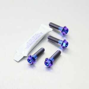 PRO BOLT v{g tgu[LLp[}EeBO{gLbg R1200GS CB1000R CB1300 CB600 Hornet FY-F6 SFW-SFX CBF1000 CBF600S CBR400RR CBR600F1-F5 CBR650F DN01 VFR750FL-FP XL1000V V4-V9 Varadero XL700 VA Transalp