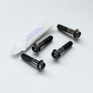 PRO BOLT �v���{���g �t�����g�u���[�L�L�����p�[�}�E���e�B���O�{���g�L�b�g R1200GS R1200S Ninja 650 990 Adventure BMW KAWASAKI �J���T�L KTM �L�����p�[�{���g�E�}�E���g�{���g �u���[�L