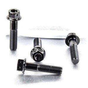 PRO BOLT �v���{���g �t�����g�u���[�L�L�����p�[�}�E���e�B���O�{���g�L�b�g R1200GS R1200S Ninja 650 990 Adventure BMW KAWASAKI �J���T�L KTM �L�����p�[�{���g�E�}�E���g�{���g �u���[�L