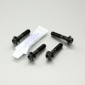 PRO BOLT �v���{���g �t�����g�u���[�L�L�����p�[�}�E���e�B���O�{���g�L�b�g R1200GS R1200S Ninja 650 990 Adventure BMW KAWASAKI �J���T�L KTM �L�����p�[�{���g�E�}�E���g�{���g �u���[�L