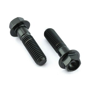 PRO BOLT v{g Au[LLp[}EeBO{gLbg NA850 Mana RS250 R1250GS Adventure GSF1200 Bandit GSF600 GSX-R750 L-M GSX1400 GSX600 FW-FK1 JS1AJ Katana TL1000R TL1000S APRILIA AvA BMW SUZUKI 