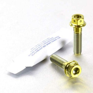 PRO BOLT v{g Au[LLp[}EeBO{gLbg NA850 Mana RS250 R1250GS Adventure GSF1200 Bandit GSF600 GSX-R750 L-M GSX1400 GSX600 FW-FK1 JS1AJ Katana TL1000R TL1000S APRILIA AvA BMW SUZUKI 