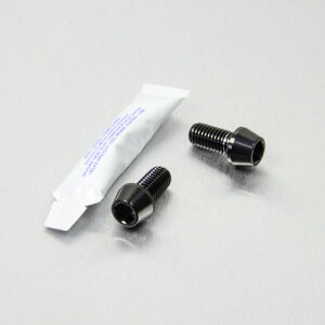 PRO BOLT プロボルト リアブレーキキャリパーマウンティングボルトキット Bonneville T100 Spirit TRIUMPH トライアンフ キャリパーボルト・マウントボルト ブレーキ