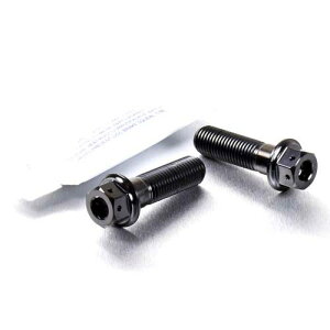 PRO BOLT �v���{���g ���A�u���[�L�L�����p�[�}�E���e�B���O�{���g�L�b�g DN01 Tiger Explorer FZS1000 Fazer FZS600 XJR1300SP XJR1300 YZF-R1 HONDA �z���_ TRIUMPH �g���C�A���t YAMAHA ���}�n �L�����p�[�{���g�E�}
