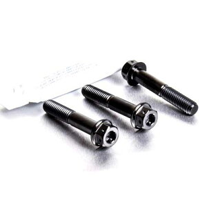 PRO BOLT �v���{���g ���A�u���[�L�L�����p�[�}�E���e�B���O�{���g�L�b�g XL1000V V4-V9 Varadero HONDA �z���_ �L�����p�[�{���g�E�}�E���g�{���g �u���[�L