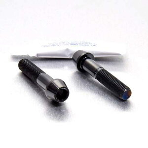 PRO BOLT �v���{���g ���A�u���[�L�L�����p�[�s���`�{���g�Z�b�g ZRX1100 GSF600 Bandit KAWASAKI �J���T�L SUZUKI �X�Y�L �L�����p�[�{���g�E�}�E���g�{���g �u���[�L