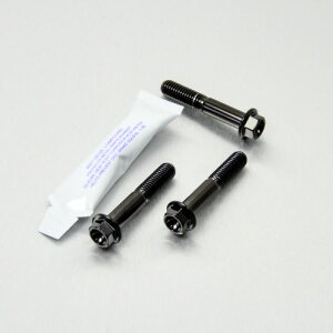 PRO BOLT �v���{���g ���A�u���[�L�L�����p�[�s���`�{���g�Z�b�g VFR800 V-TEC HONDA �z���_ �L�����p�[�{���g�E�}�E���g�{���g �u���[�L
