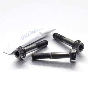 PRO BOLT �v���{���g ���A�u���[�L�L�����p�[�s���`�{���g�Z�b�g VFR800 V-TEC HONDA �z���_ �L�����p�[�{���g�E�}�E���g�{���g �u���[�L
