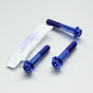 PRO BOLT �v���{���g ���A�u���[�L�L�����p�[�s���`�{���g�Z�b�g VFR800 V-TEC HONDA �z���_ �L�����p�[�{���g�E�}�E���g�{���g �u���[�L