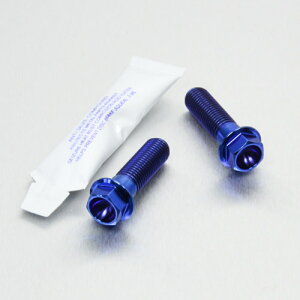 PRO BOLT v{g Au[LLp[}EeBO{gLbg XDiavel V-Max 1200 XJR1200 XJR1300SP XJR1300 DUCATI hDJeB YAMAHA }n Lp[{gE}Eg{g u[L