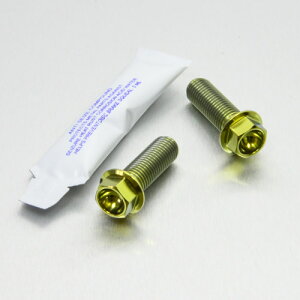 PRO BOLT �v���{���g ���A�u���[�L�L�����p�[�}�E���e�B���O�{���g�L�b�g XDiavel V-Max 1200 XJR1200 XJR1300SP XJR1300 DUCATI �h�D�J�e�B YAMAHA ���}�n �L�����p�[�{���g�E�}�E���g�{���g �u���[�L