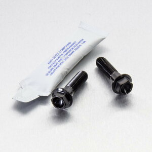 PRO BOLT �v���{���g ���A�u���[�L�L�����p�[�}�E���e�B���O�{���g�L�b�g WR250X YAMAHA ���}�n �L�����p�[�{���g�E�}�E���g�{���g �u���[�L