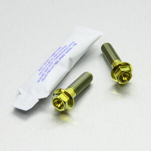 PRO BOLT �v���{���g ���A�u���[�L�L�����p�[�}�E���e�B���O�{���g�L�b�g WR250X YAMAHA ���}�n �L�����p�[�{���g�E�}�E���g�{���g �u���[�L