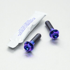 PRO BOLT �v���{���g ���A�u���[�L�L�����p�[�}�E���e�B���O�{���g�L�b�g WR250X YAMAHA ���}�n �L�����p�[�{���g�E�}�E���g�{���g �u���[�L