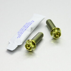 PRO BOLT プロボルト リアブレーキキャリパーマウンティングボルトキット XDiavel V-Max 1200 XJR1200 XJR1300SP XJR1300 DUCATI ドゥカティ YAMAHA ヤマハ キャリパーボルト・マウントボルト ブレーキ