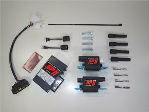 AS�E�I�^�j �G�[�G�X�E�I�^�j SPII�t���p���[�L�b�g GSX1100S �J�^�i �� SUZUKI �X�Y�L �C�O�j�b�V�����R�C�� �_�Όn �G���W��