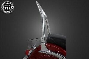 Garage T&F K[W ɑ38V[V[o[ Cg[_[400NVbN SUZUKI XYL Ouo[E^fo[EV[V[o[ O