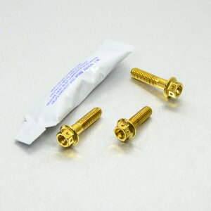 PRO BOLT �v���{���g �u���[�L���N���b�`���o�[�s���`�{���g ���[�X�X�y�b�N RSV4 1000 Factory RF Tuono V4 1100RR V4R 990 Adventure DL650 V-Strom DL650A GSF600 Bandit GSR600 GSX-R1000 GSX-R600 GSX-R750 SFV650 Gladius YBR125 ����