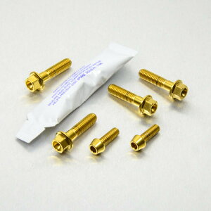 PRO BOLT v{g u[LNb`o[s`{g Caponord 1200 XL700 VA Transalp APRILIA AvA HONDA z_ ̑o[IvVECi nhӃp[c nh