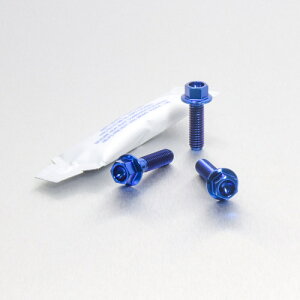 PRO BOLT v{g u[LNb`o[ p[`s`{g Lbg RSV4 1000 Factory RF Tuono V4 1100RR V4R 990 Adventure DL650 V-Strom DL650A GSF600 Bandit GSR600 GSX-R1000 GSX-R600 GSX-R750 SFV650 Gladius YBR125 ̑