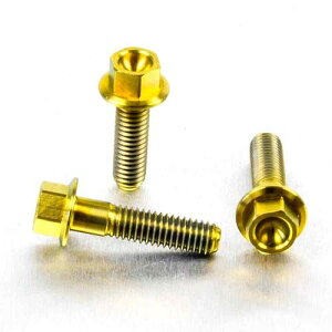 PRO BOLT v{g u[LNb`o[ p[`s`{g Lbg RSV4 1000 Factory RF Tuono V4 1100RR V4R 990 Adventure DL650 V-Strom DL650A GSF600 Bandit GSR600 GSX-R1000 GSX-R600 GSX-R750 SFV650 Gladius YBR125 ̑