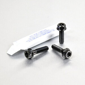 PRO BOLT v{g u[LNb`o[ p[`s`{g Lbg fAhCu RSV4 1000 Factory RF Tuono V4 1100RR V4R 990 Adventure DL650 V-Strom DL650A GSF600 Bandit GSR600 GSX-R1000 GSX-R600 GSX-R750 SFV650