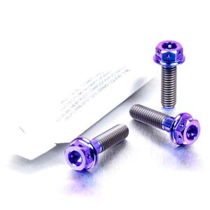 PRO BOLT v{g u[LNb`o[ p[`s`{g Lbg fAhCu RSV4 1000 Factory RF Tuono V4 1100RR V4R 990 Adventure DL650 V-Strom DL650A GSF600 Bandit GSR600 GSX-R1000 GSX-R600 GSX-R750 SFV650