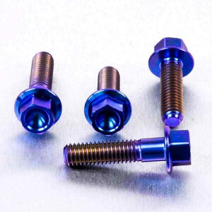 PRO BOLT v{g u[LNb`o[ p[`s`{g Lbg RS250 CBR600RR CRF150R CRF250R CRF450R KLX250 Z1000 ZX-6R Ninja GSX-S1000FA RM125 RM250 YZ250F APRILIA AvA HONDA z_ KAWASAKI JTL