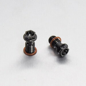 PRO BOLT �v���{���g �V���O���o���W���[�{���g ���A �u���[�L�}�X�^�[�V�����_�[ ���[�X�X�y�b�N Z1000 ZX-10R Ninja ZX-12R ZX-6R GSF1200 Bandit GSX-R600 GSX-R750 GSX1300BK B-King GSX1300R Hayabusa SV650 TL1000R TL1000S KAW