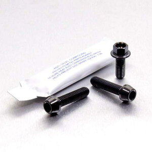 PRO BOLT �v���{���g �u���[�L���N���b�`���o�[ �p�[�`�s���`�{���g �L�b�g S1000XR 1190 990 Superduke Supermoto BMW KTM ���̑����o�[�I�v�V�����E��C���i �n���h�����Ӄp�[�c �n���h��