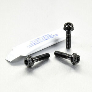 PRO BOLT �v���{���g �u���[�L���N���b�`���o�[ �p�[�`�s���`�{���g �L�b�g �f���A���h���C�u CBF 125 CBF600S KLX125 Ninja 250 SL 250R 300 Z250 Duke 390 990 Adventure RC GSX-R1000 MT-03 YBR125 YZF-R3 ���̑����o�[�I�v